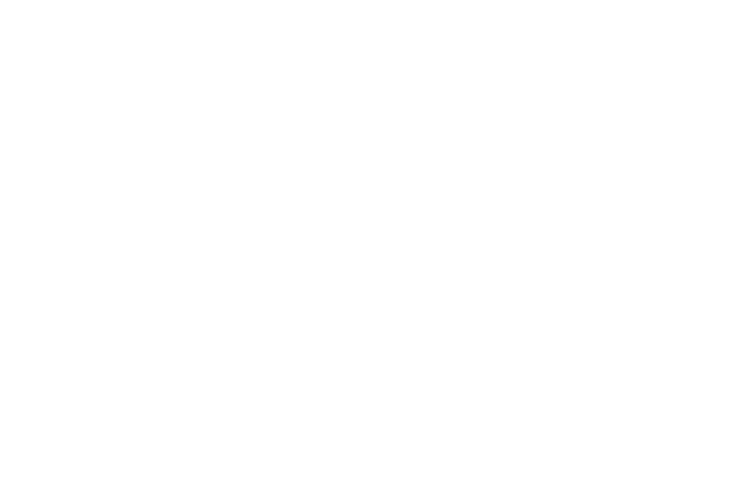 logo1