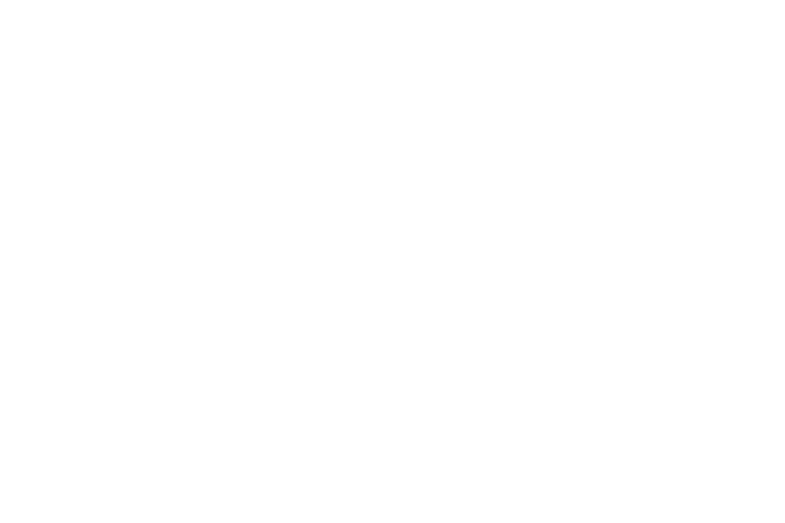logo9